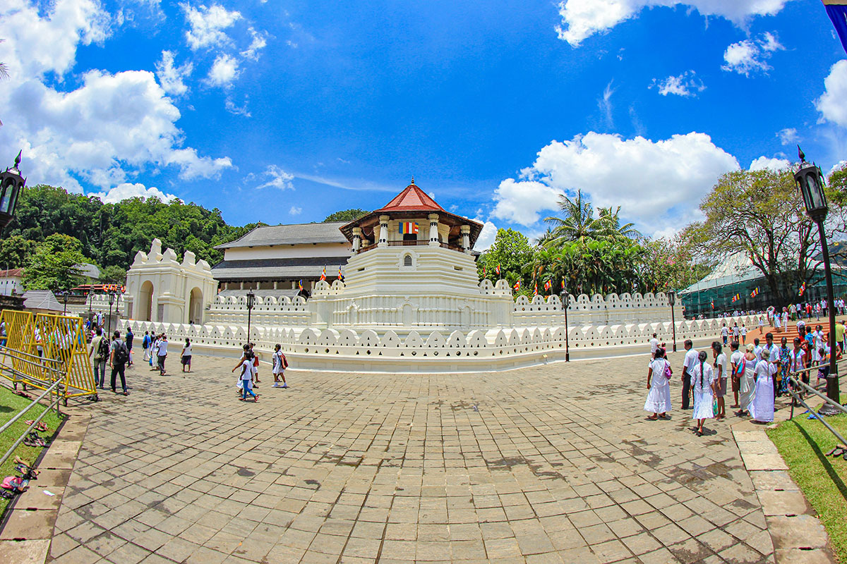 Kandy All in One Day Tour from Colombo