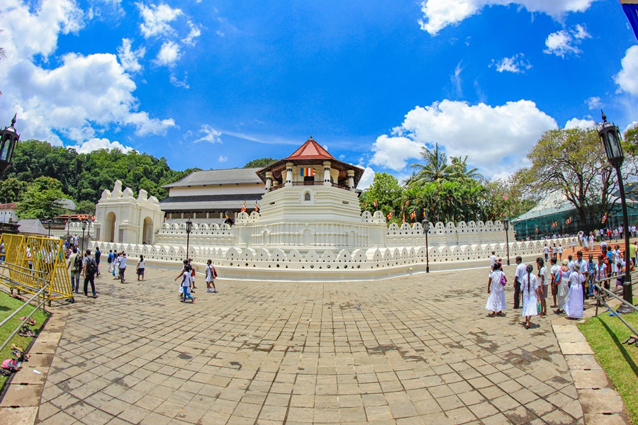 Kandy and Pinnawala Day Tour from Colombo